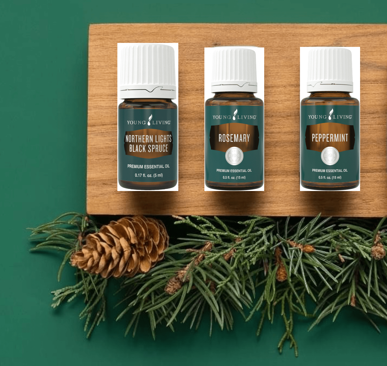 Little Oilers Starter-Kit | Shop-Oil.com